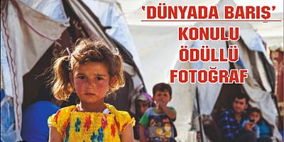  Muş Fotoğraf Sanatı Derneği Bir Ödül Daha Kazandı