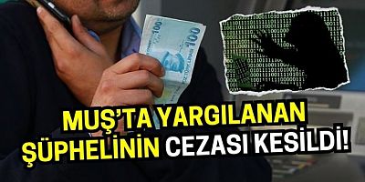 Yabancı uyruklu dolandırıcıya Muş’tan ceza