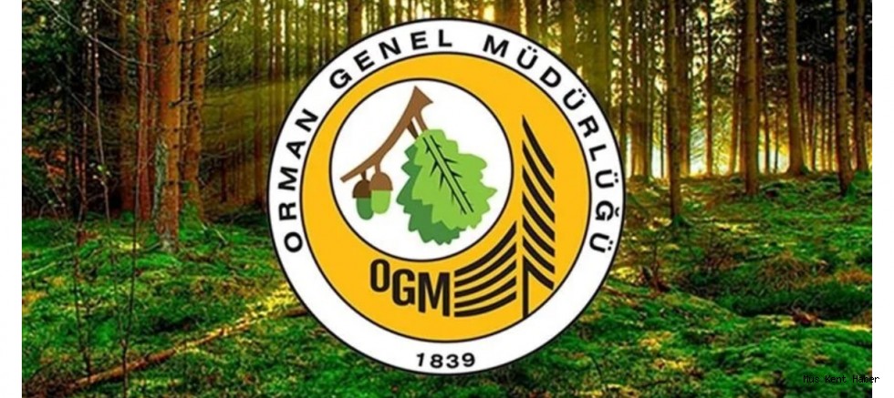 OGM 3477 sözleşmeli destek personel alımı devam ediyor 