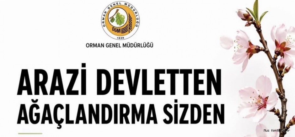 Devletten Arazi Desteği: Ağaçlandırma Yapana 49 Yıllık Kiralama