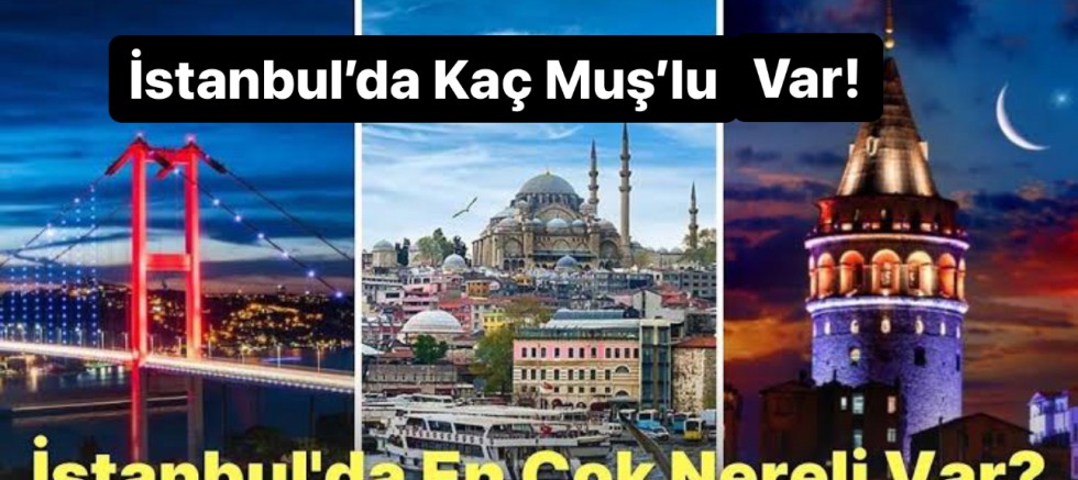 İşte İstanbul’da Yaşayan Muş’lu Sayısı