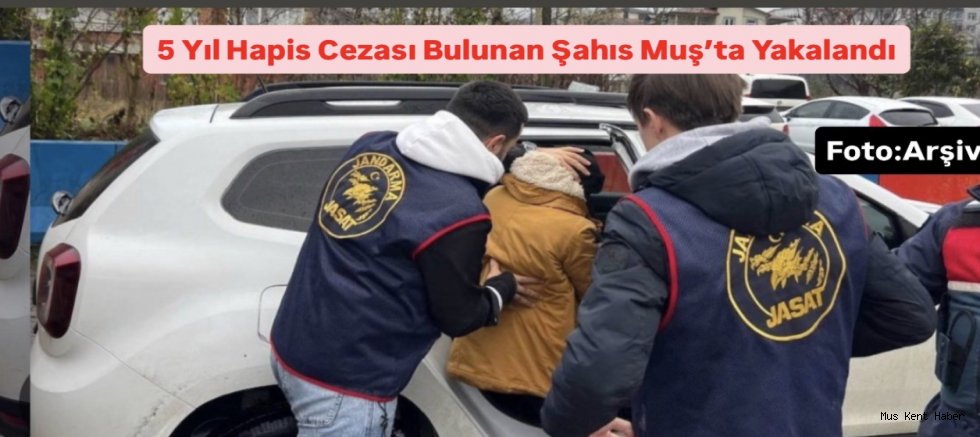 5 Yıl Hapis Cezası Bulunan Şahıs Muş’ta Yakalandı