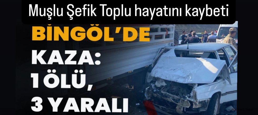 Bingöl’de Feci Kaza: Muşlu Şefik Toplu Yaşamını Yitirdi