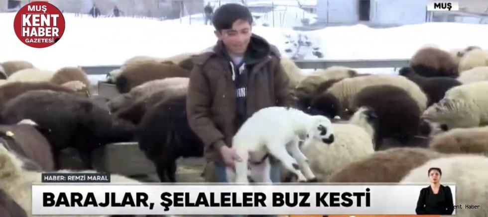 Güzletepe Mahallesi’nde Zorlu Kış Mesaisi