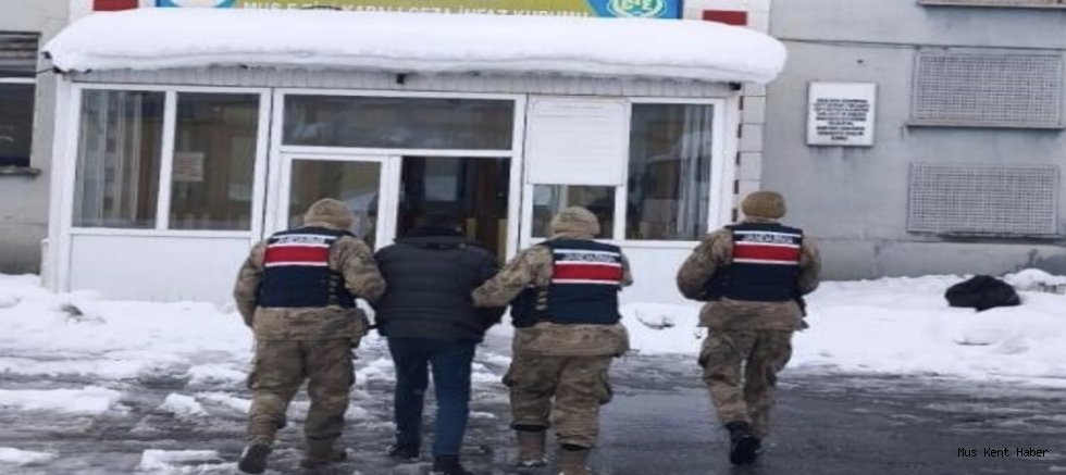 Hasköy’de Aranan Şahıs Jandarma Ekiplerince Yakalandı