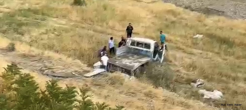Muş-Bulanık Yolunda Ticari Araç Şarampole Devirdi: 2 Yaralı
