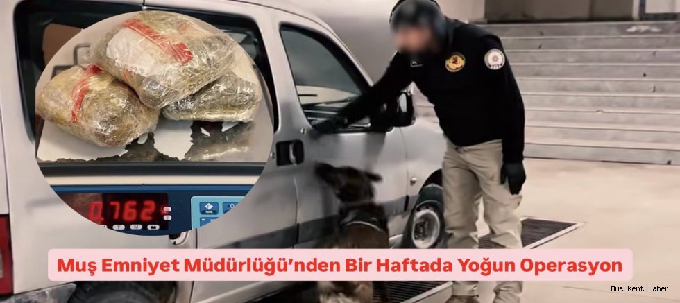 Muş Emniyet Müdürlüğü’nden Bir Haftada Yoğun Çalışma