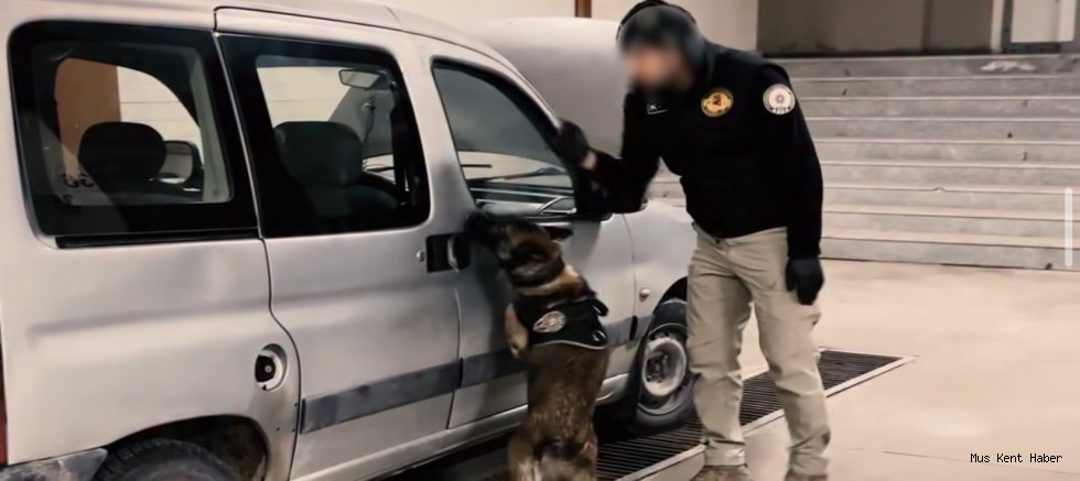 Muş’ta Bir Haftada Yoğun Güvenlik Mesaisi
