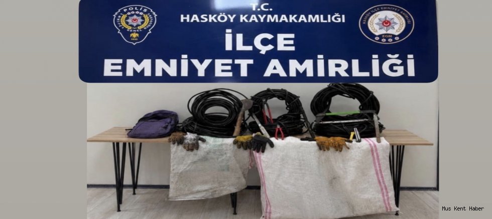 Muş’ta Enerji Kablosu Hırsızlığı Şüphelisi Yakalandı