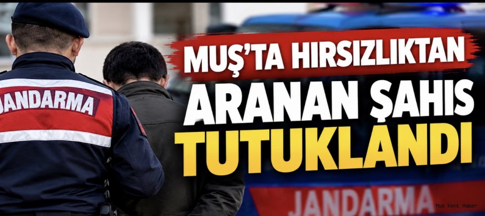 Muş’ta Hırsızlıktan Aranan Şahıs Tutuklandı