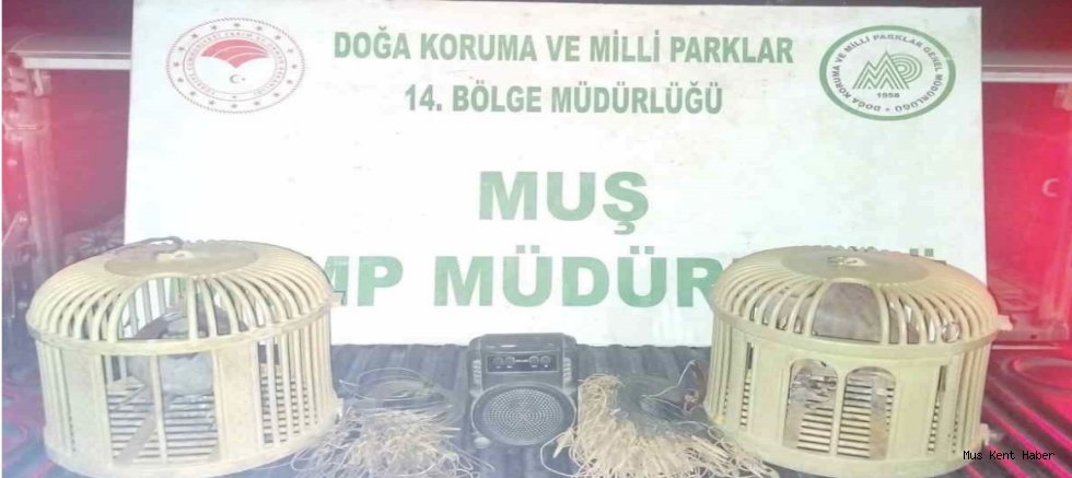Muş’ta Kaçak Keklik Avına Suçüstü: 65 Bin TL Ceza