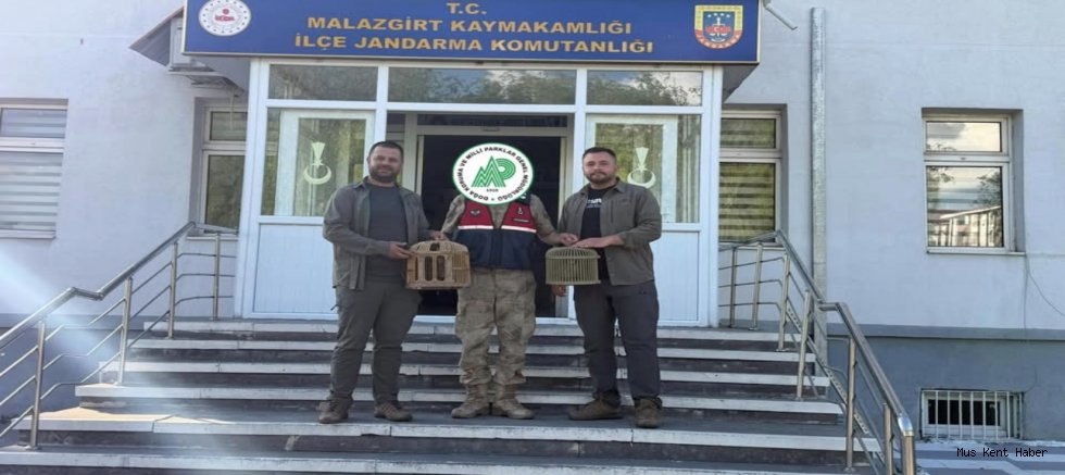 Muş’ta Kaçak Keklik Bulunduran Şahsa 67 Bin Lira Ceza