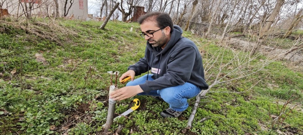 Muş’ta Meyve Ağaçlarında Aşılama Dönemi Başladı
