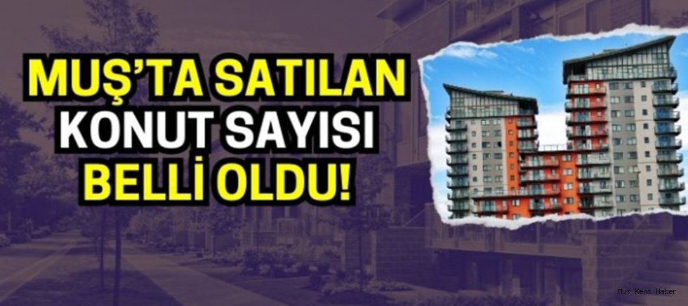Muş’ta Nisan Ayında 218 Konut Satıldı