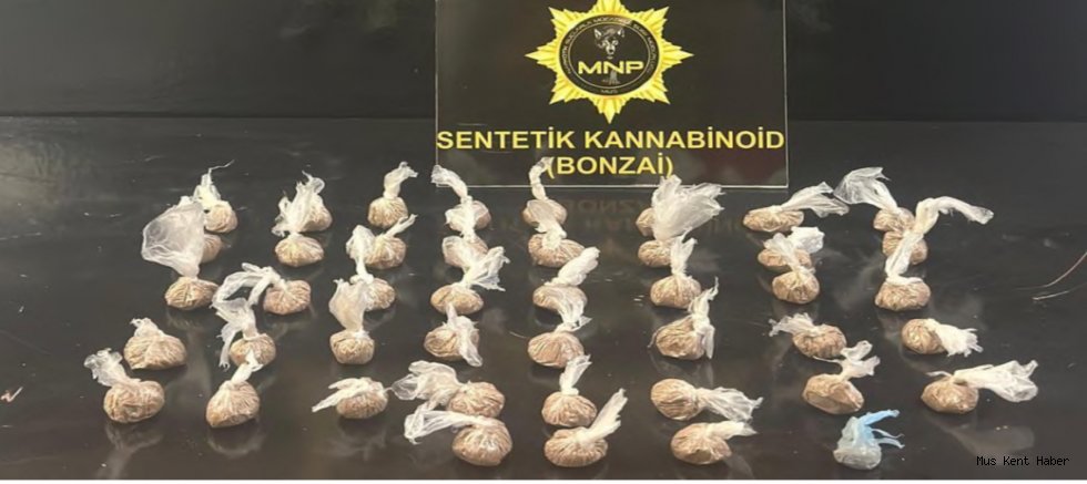 Muş’ta Otobüs Terminalinde Uyuşturucu Operasyonu: 1 Kişi Tutuklandı