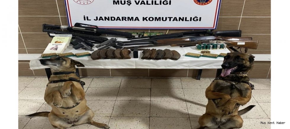 Muş’ta Ruhsatsız Silah Operasyonu: 7 Şüpheli Gözaltında