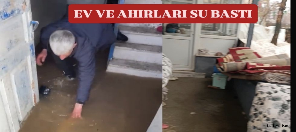 MUŞ’TA SAĞANAK YAĞIŞ HAYATI OLUMSUZ ETKİLEDİ: EV VE AHIRLARI SU BASTI
