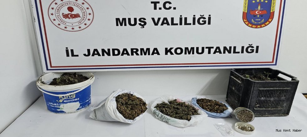 Muş’ta Uyuşturucu Operasyonu: 1 Kişi Gözaltına Alındı