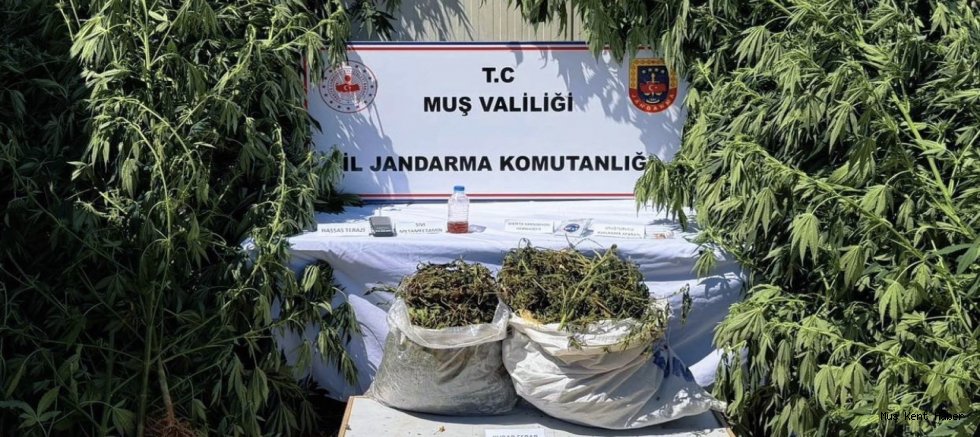 Muş’ta uyuşturucu operasyonu: 1 şüpheli tutuklandı