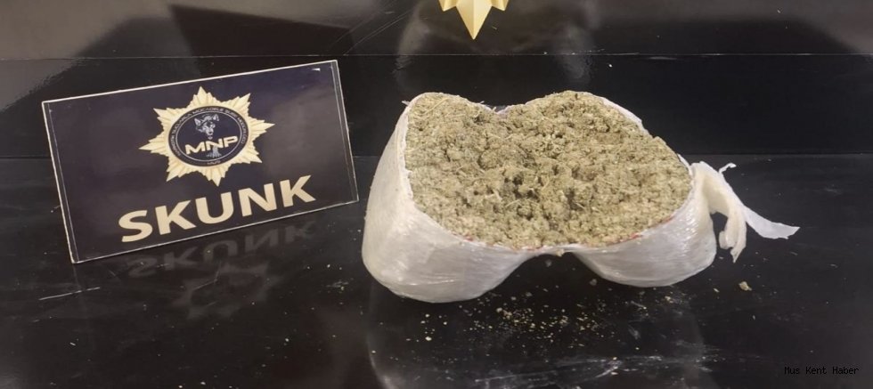 Muş’ta Yolcu Otobüsünde 2 Kilo Skunk Ele Geçirildi