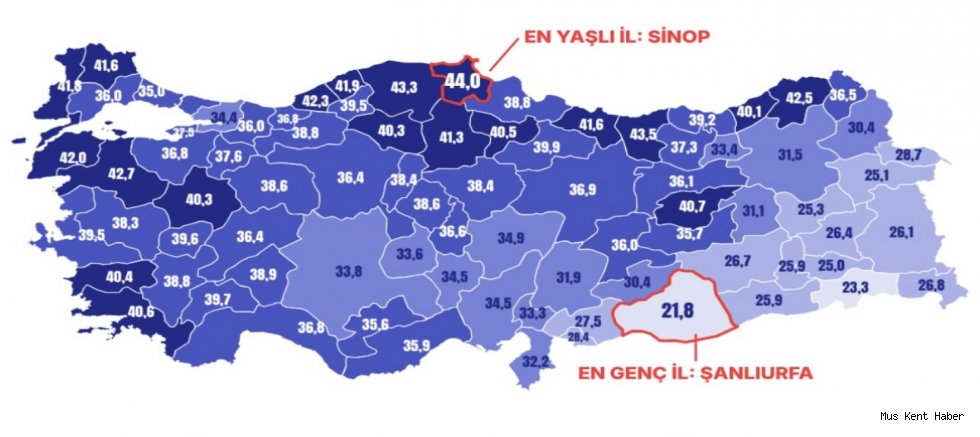 Muş, Türkiye’nin En Genç İllerinden Biri: Ortanca Yaş 25,3!