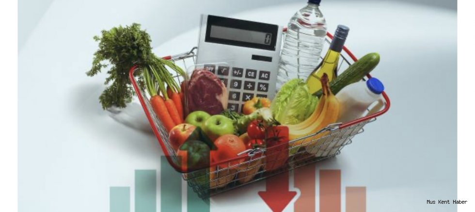 Şubat ayı enflasyon rakamları açıklandı