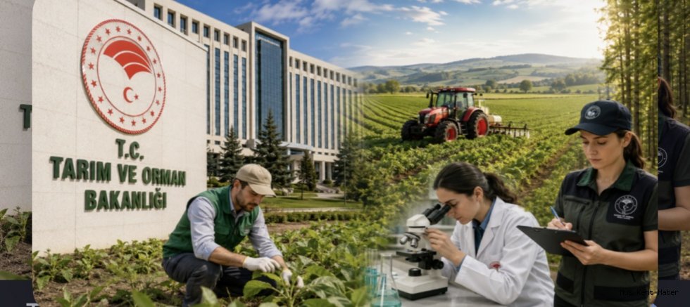 Tarım ve Orman Bakanlığı sözleşmeli personel alacak