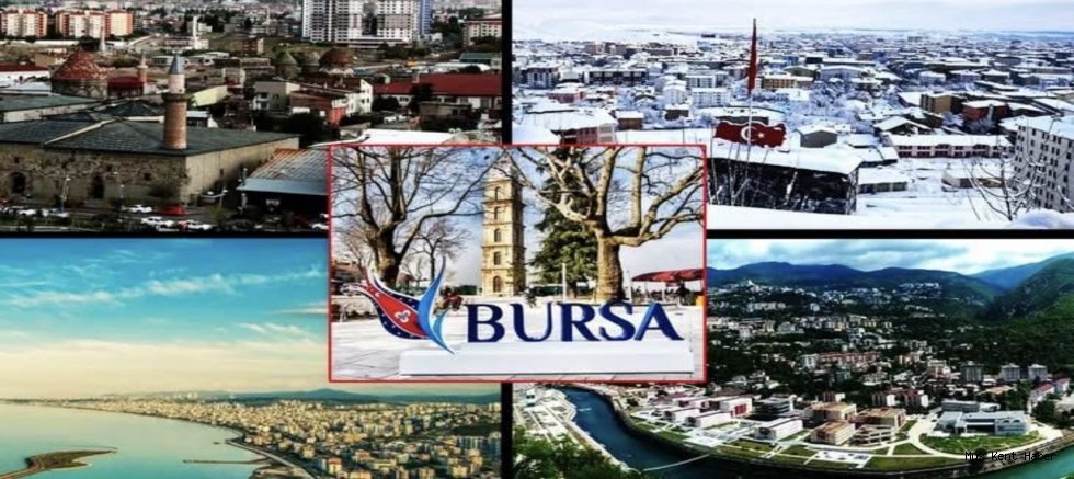 TÜİK Verileri: Bursa’da Muşluların Sayısı 112 Bini Aştı