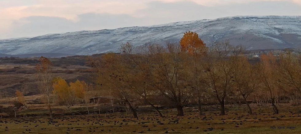Varto’nun Yüksek Kesimlerine Mevsimin İlk Karı Yağdı