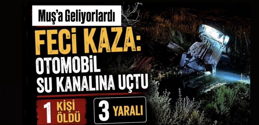 Muş’a Geliyorlardı: Otomobil Su Kanalına Uçtu, 1 Ölü, 3 Yaralı
