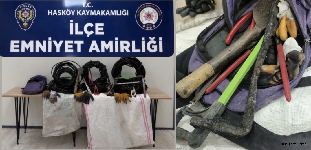 Muş’ta Enerji Kablosu Hırsızlığı Şüphelisi Yakalandı