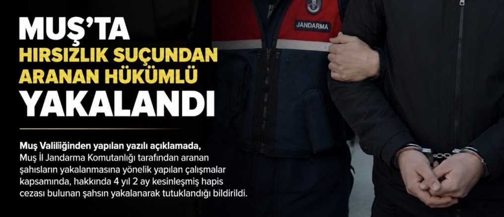 Muş’ta Hırsızlık Suçundan Aranan Hükümlü Jandarma Tarafından Yakalandı