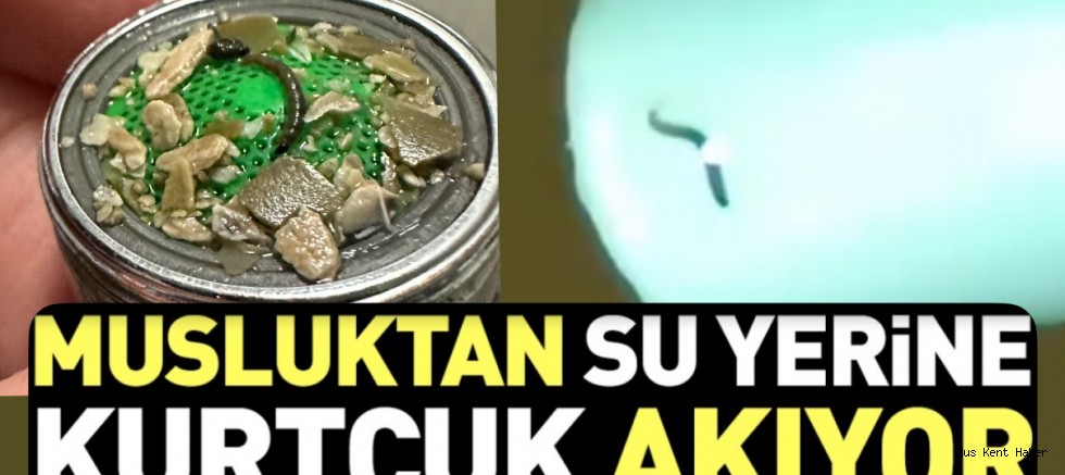 Muş’ta Musluklardan Kurtçuk Çıktı, Vatandaş Tedirgin Oldu