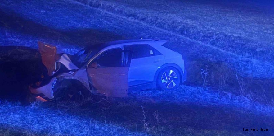 Muş’ta otomobil yola çıkan ineğe çarptı