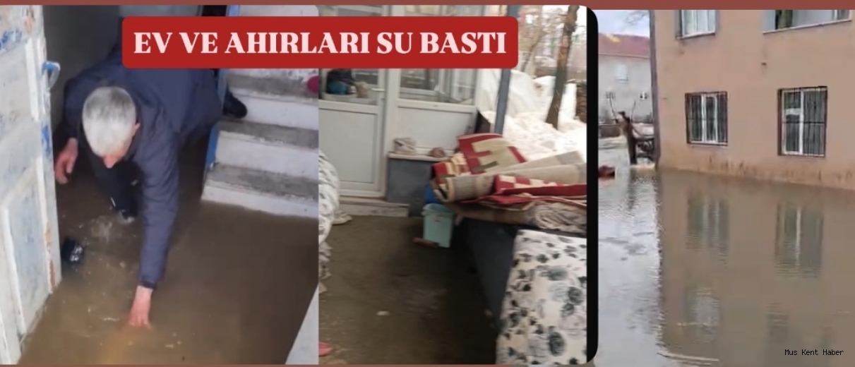 MUŞ’TA SAĞANAK YAĞIŞ HAYATI OLUMSUZ ETKİLEDİ: EV VE AHIRLARI SU BASTI