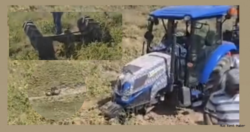 Muş’ta Traktör Takla Attı: Sürücü Yaralandı, Kaza Kamerada