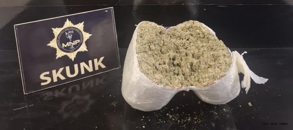 Muş’ta Yolcu Otobüsünde 2 Kilo Skunk Ele Geçirildi