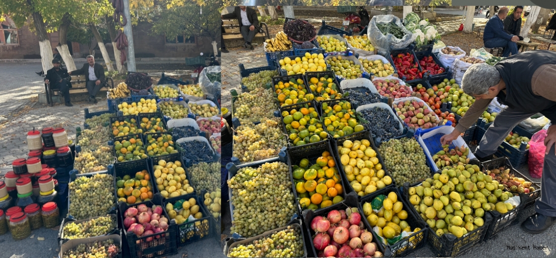 Muş’un Bağlarında Yetiştirilen Yerli Ürünler Tezgahlarda Yerini Aldı