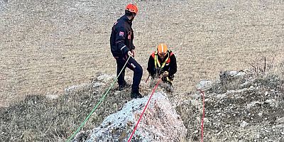 AFAD, Dağda Mahsur Kalan Kuzuyu Kurtardı