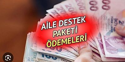 Aile Destek Ödemeleri Hesaplara Aktarıldı