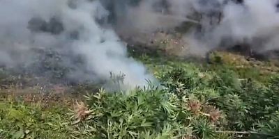 AKINCI TİHA Destekli Uyuşturucu Operasyonunda Muş da Hedefteydi: Zehir Tacirlerine Büyük Darbe