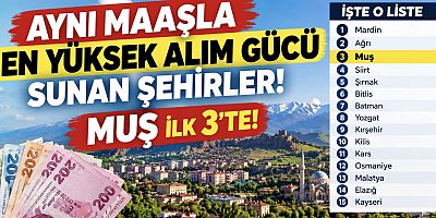 Aynı Maaşla Alım Gücü En Yüksek Şehirler Açıklandı: Muş İlk 3’te!
