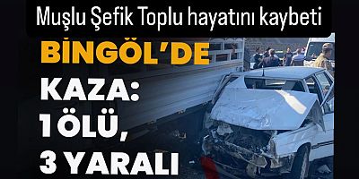 Bingöl’de Feci Kaza: Muşlu Şefik Toplu Yaşamını Yitirdi