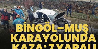 Bingöl–Muş Karayolunda Kaza: 7 Yaralı