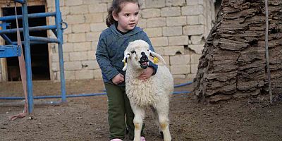 Bu yıl yaklaşık 650 bin kuzu ve oğlak doğumu bekleniyor.