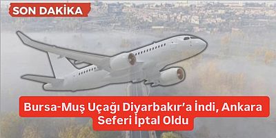 Bursa-Muş Uçağı Diyarbakır’a İndi, Ankara Seferi İptal Oldu