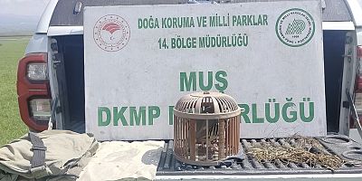 Canlı mühre ile keklik avlayan şahsa 53 bin TL ceza