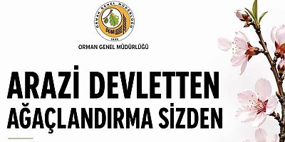 Devletten Arazi Desteği: Ağaçlandırma Yapana 49 Yıllık Kiralama