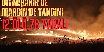 Diyarbakır ve Mardin Arasında Anız Yangını: 12 Can Kaybı, 78 Yaralı
