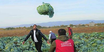 Gençlik merkezi gönüllülerinden çiftçilere lahana hasadı desteği